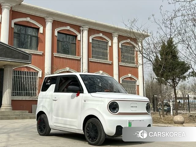 Geely Galaxy panda id 3857993 из Китая 10