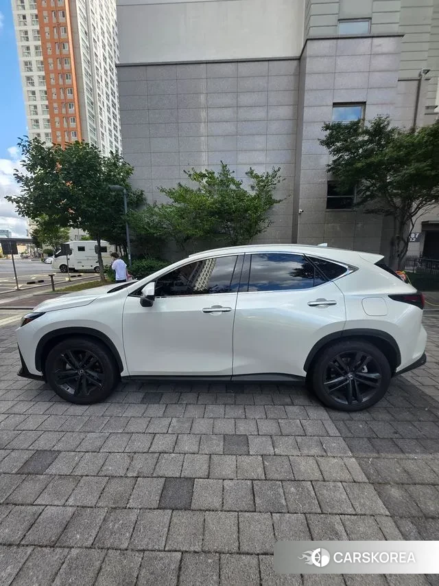 Lexus NX350h Second generation id 3288587 из Кореи 15