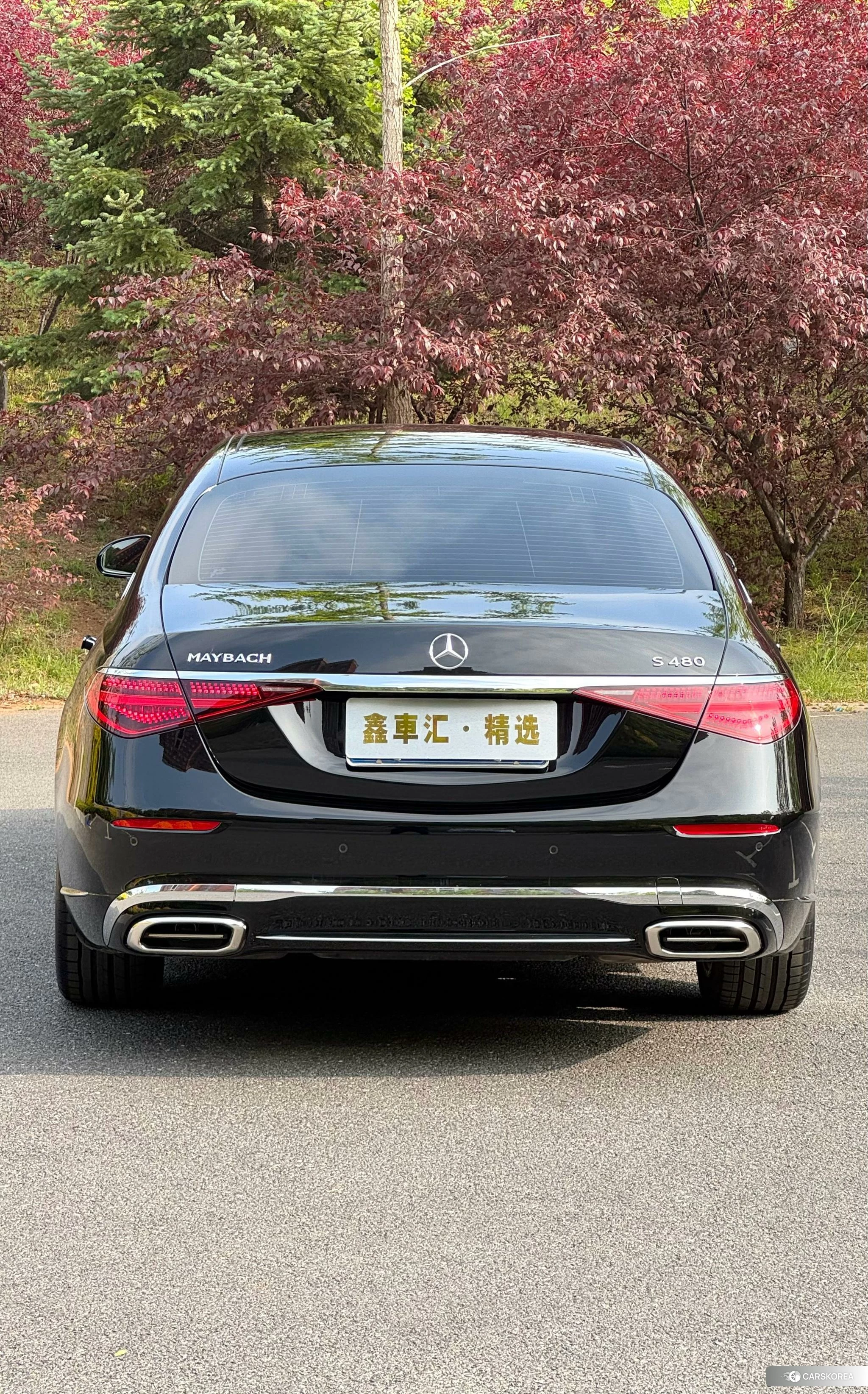 Mercedes-Benz Maybach S-class id 4454650 из Китая 18