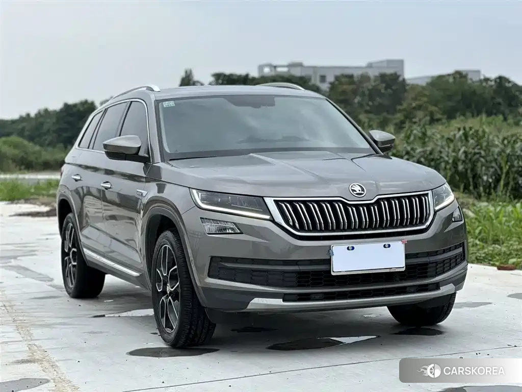 Skoda Kodiak id 4553660 из Китая 16