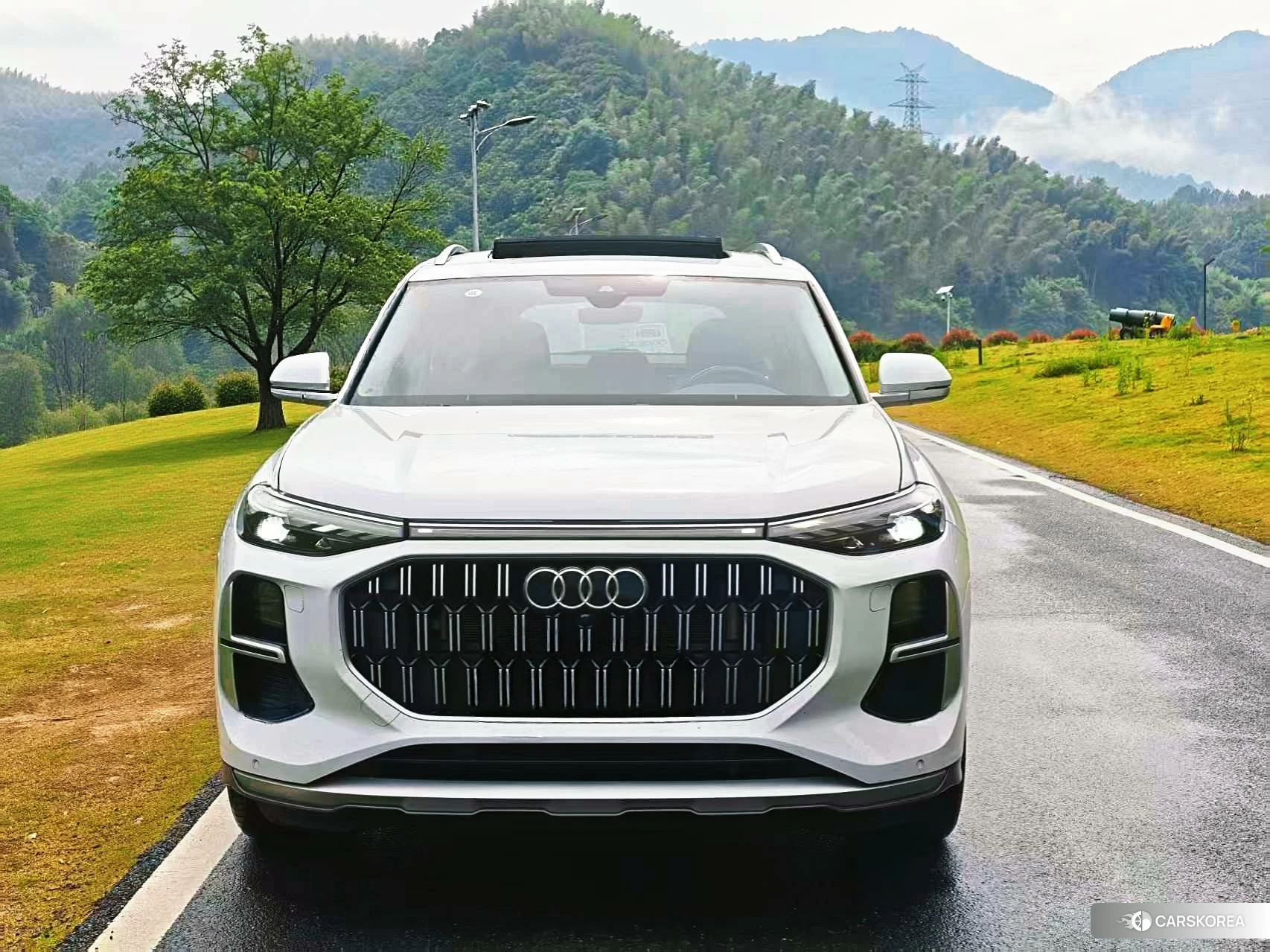 Audi Q6 id 4514996 из Китая 13
