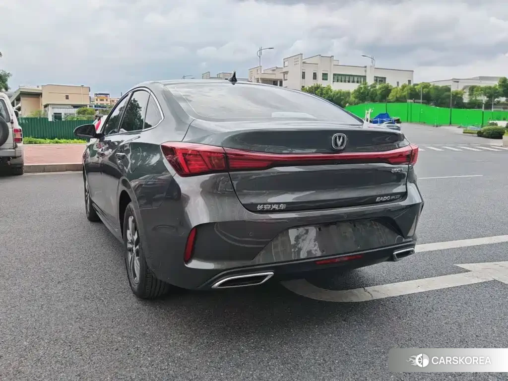 Chang'an Yidong id 4600538 из Китая 15
