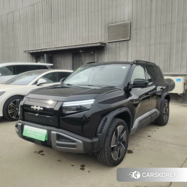 Leopard Titanium 3 id 4199035 из Китая 13