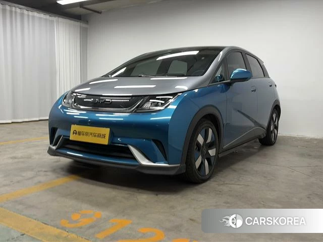 BYD dolphin id 4216848 из Китая 20