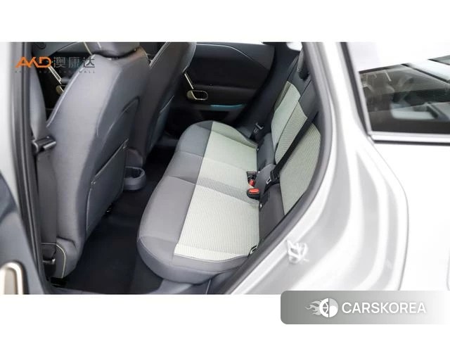 MINI Electric ACEMAN id 3920576 из Китая 10