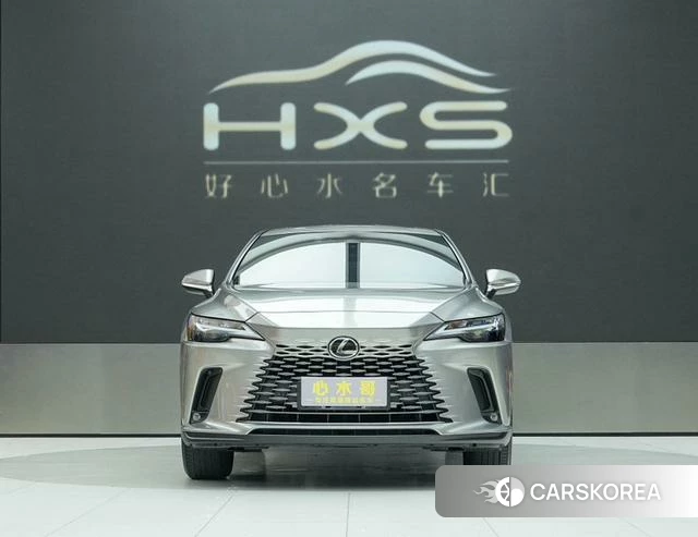 Lexus RX id 4394064 из Китая 23