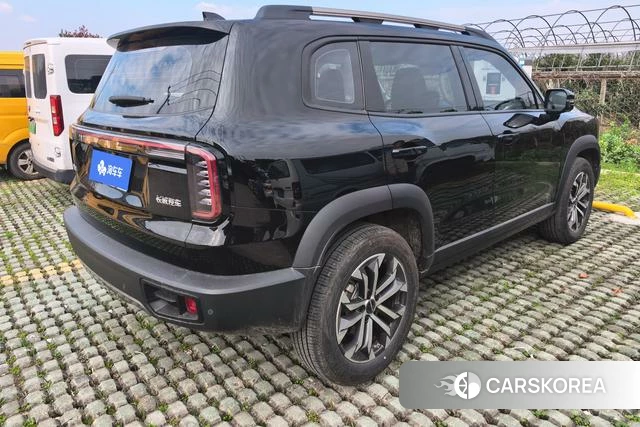 Haval Big dog id 4241987 из Китая 17