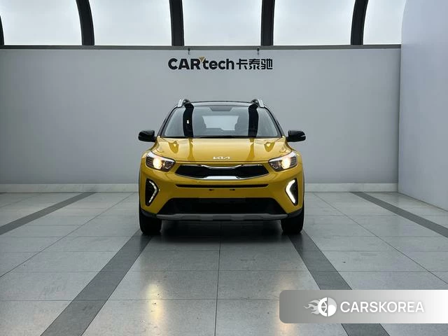 Kia Yi Ran id 4307647 из Китая 24
