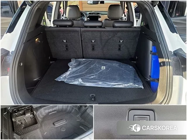 Chevrolet (GM Daewoo) Trailblazer id 3577848 из Кореи 20