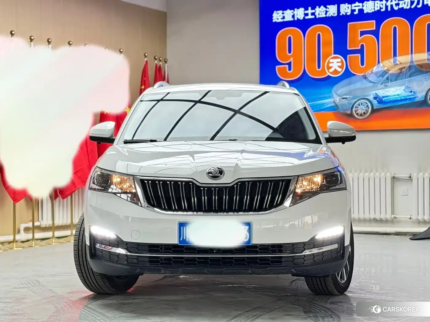Skoda Kamiq id 4589139 из Китая 21