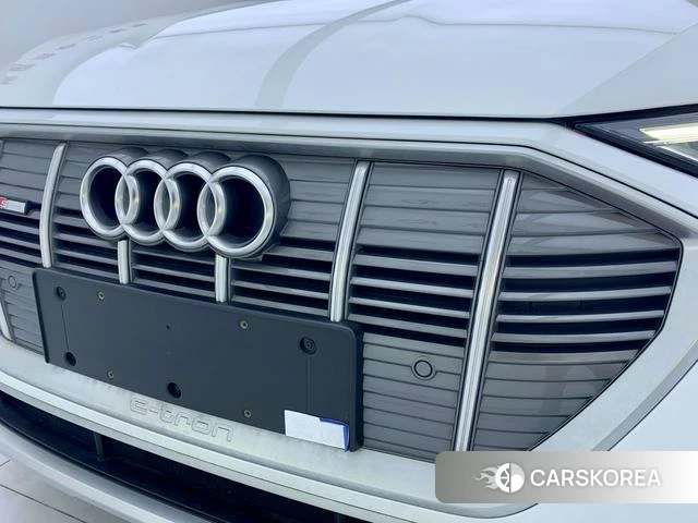 Audi e-tron id 4307330 из Китая 30