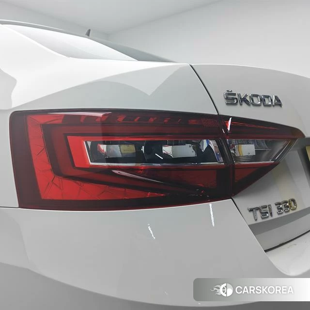 Skoda Speed pie id 4235866 из Китая 20