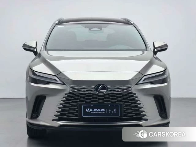 Lexus RX PHEV id 4222330 из Китая 15