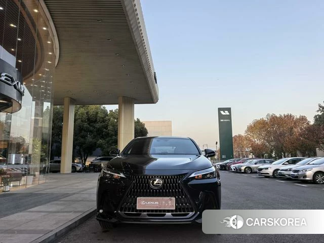 Lexus NX id 4262304 из Китая 16