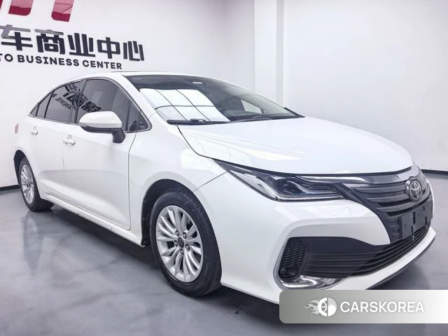 Toyota Asian lion id 4274425 из Китая 18