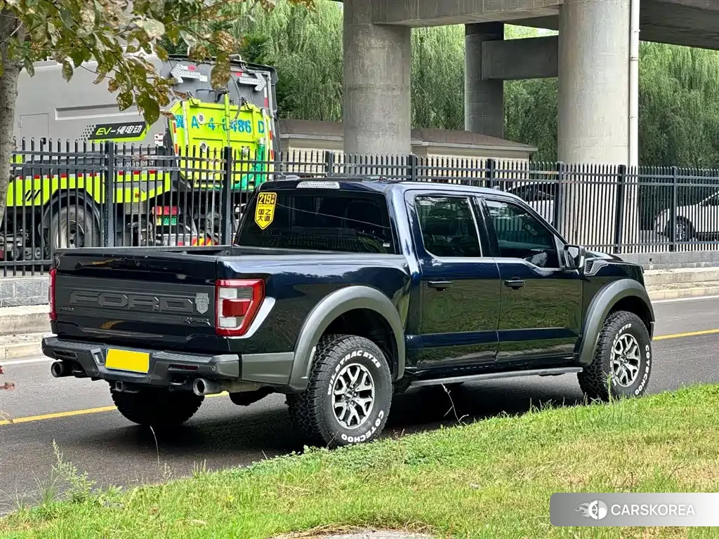 Ford F-150 Raptor id 4576829 из Китая 19