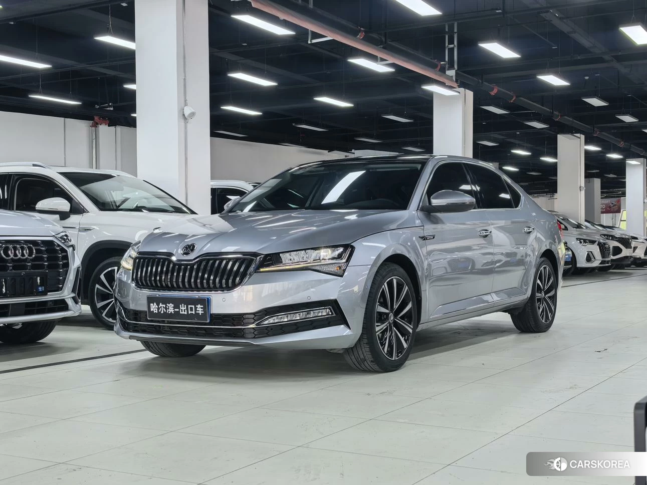 Skoda Speed pie id 4452178 из Китая 25