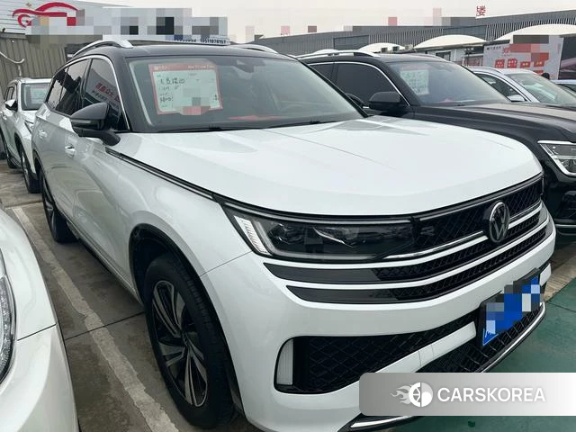 Volkswagen Range patrol id 4321355 из Китая 15