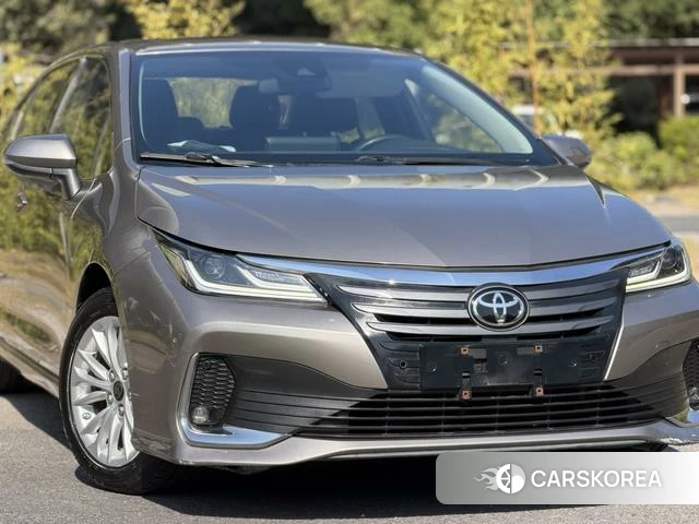 Toyota Asian lion id 4261265 из Китая 14