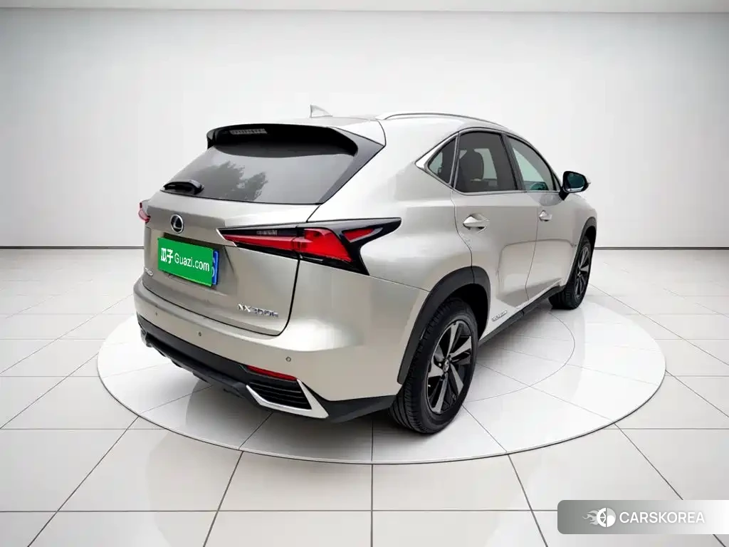 Lexus NX id 4589196 из Китая 21