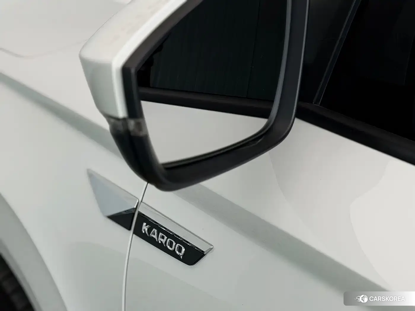 Skoda Karoq id 4680522 из Китая 23