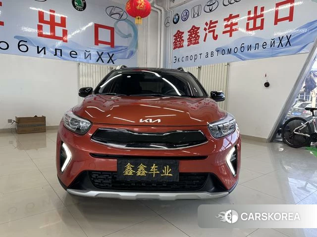 Kia Yi Ran id 4341939 из Китая 17
