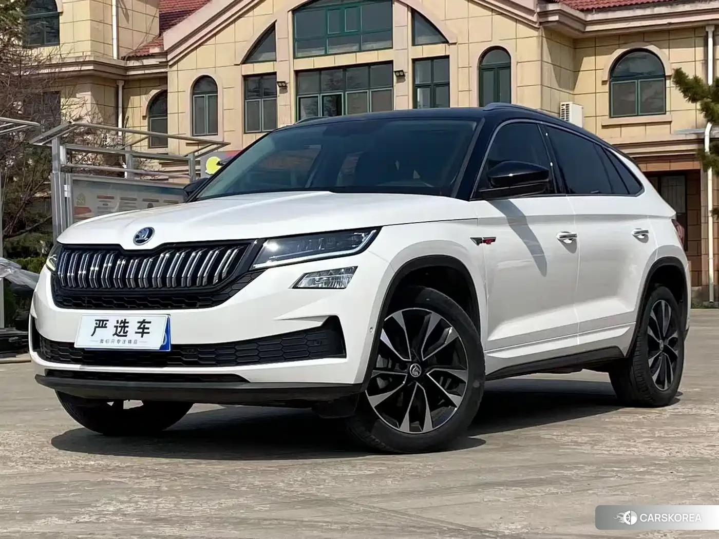 Skoda Kodiaq id 4680795 из Китая 22