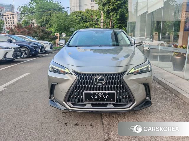 Lexus NX id 4262125 из Китая 10