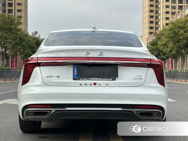 Red flag H5 id 3888953 из Китая 16
