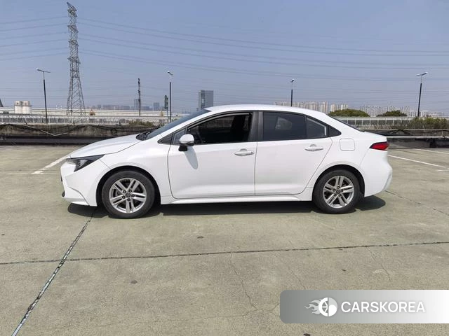 Toyota Lei Ling id 4258943 из Китая 13