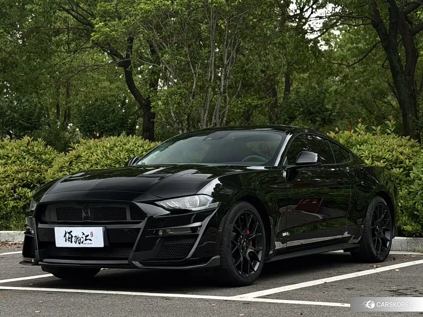 Ford Mustang id 4622758 из Китая 15