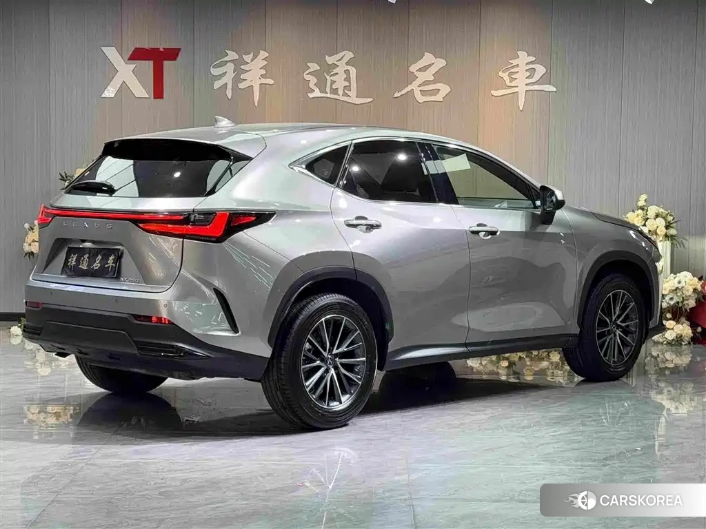 Lexus NX id 4628303 из Китая 23