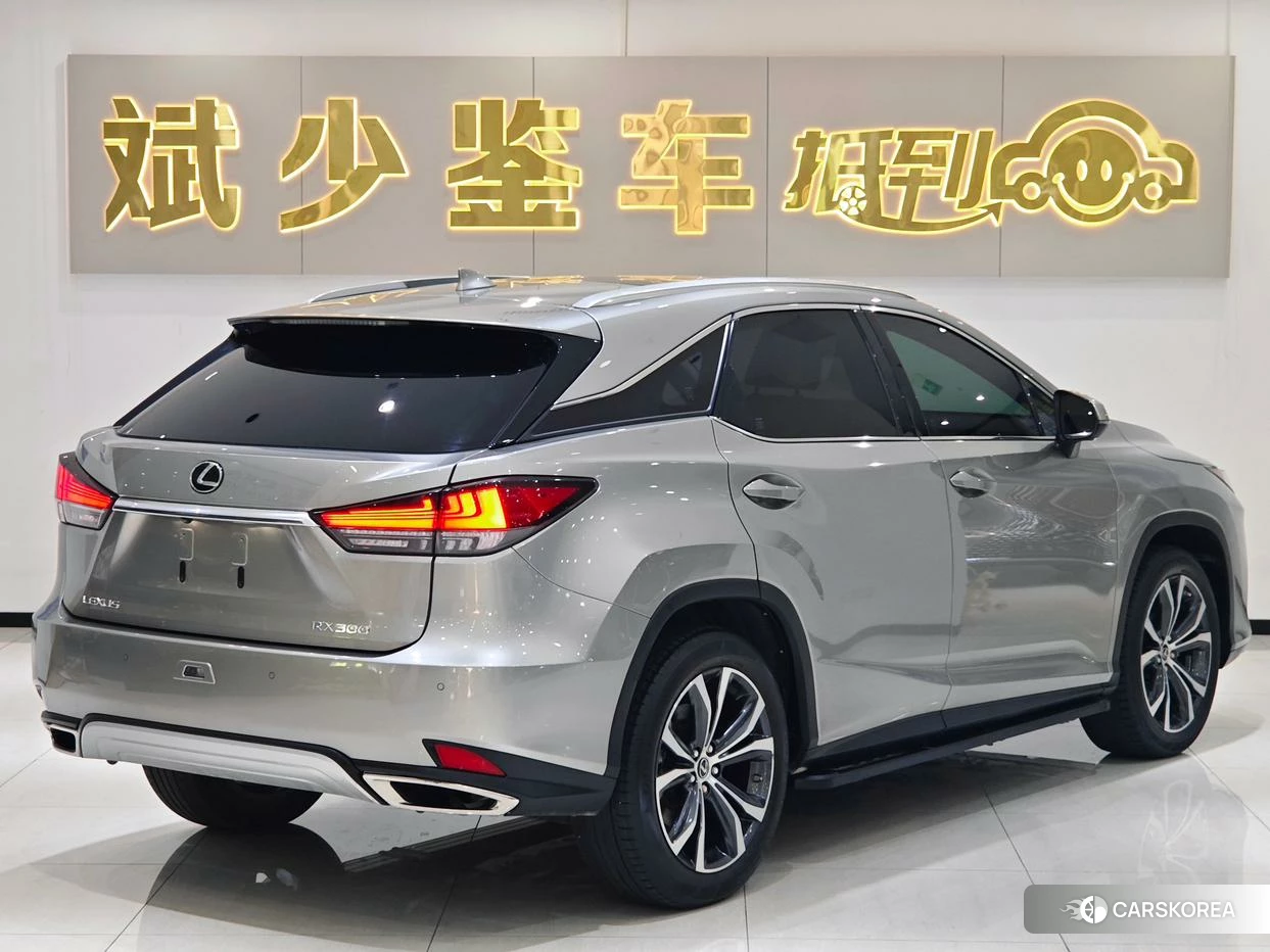 Lexus RX id 4419249 из Китая 12