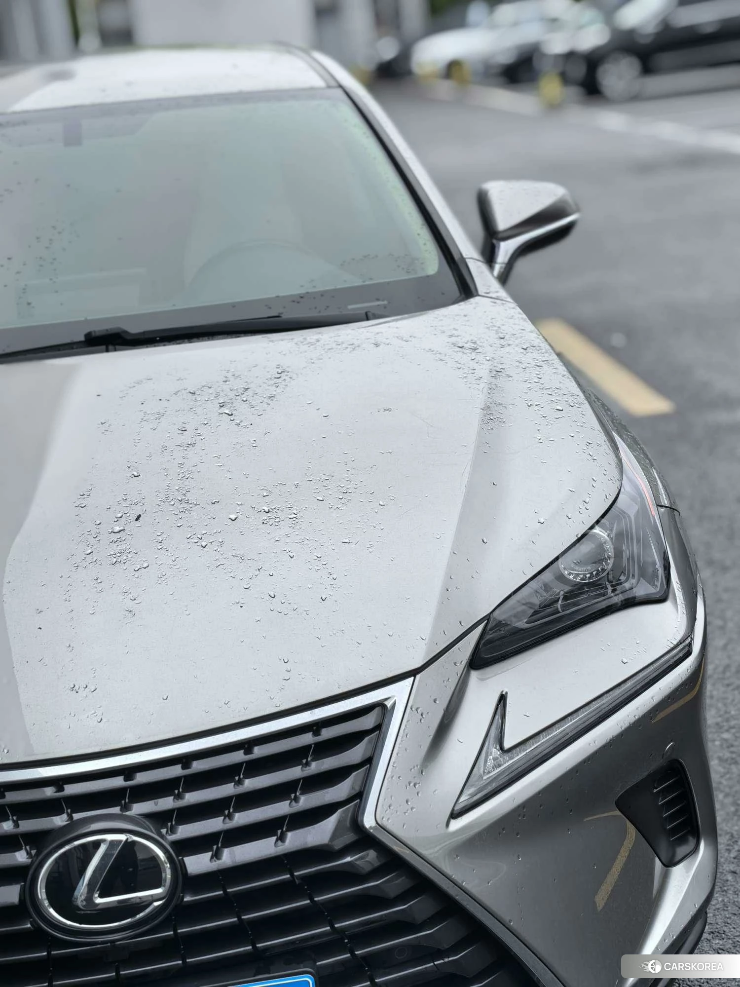 Lexus NX id 4455427 из Китая 12