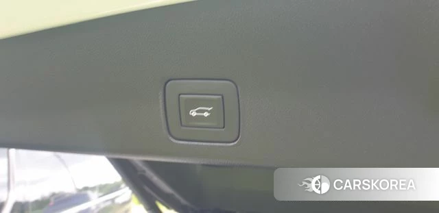 Chevrolet (GM Daewoo) Trailblazer id 4632526 из Кореи 17