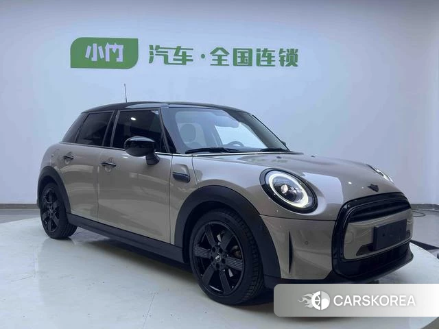 MINI MINI id 4241060 из Китая 21