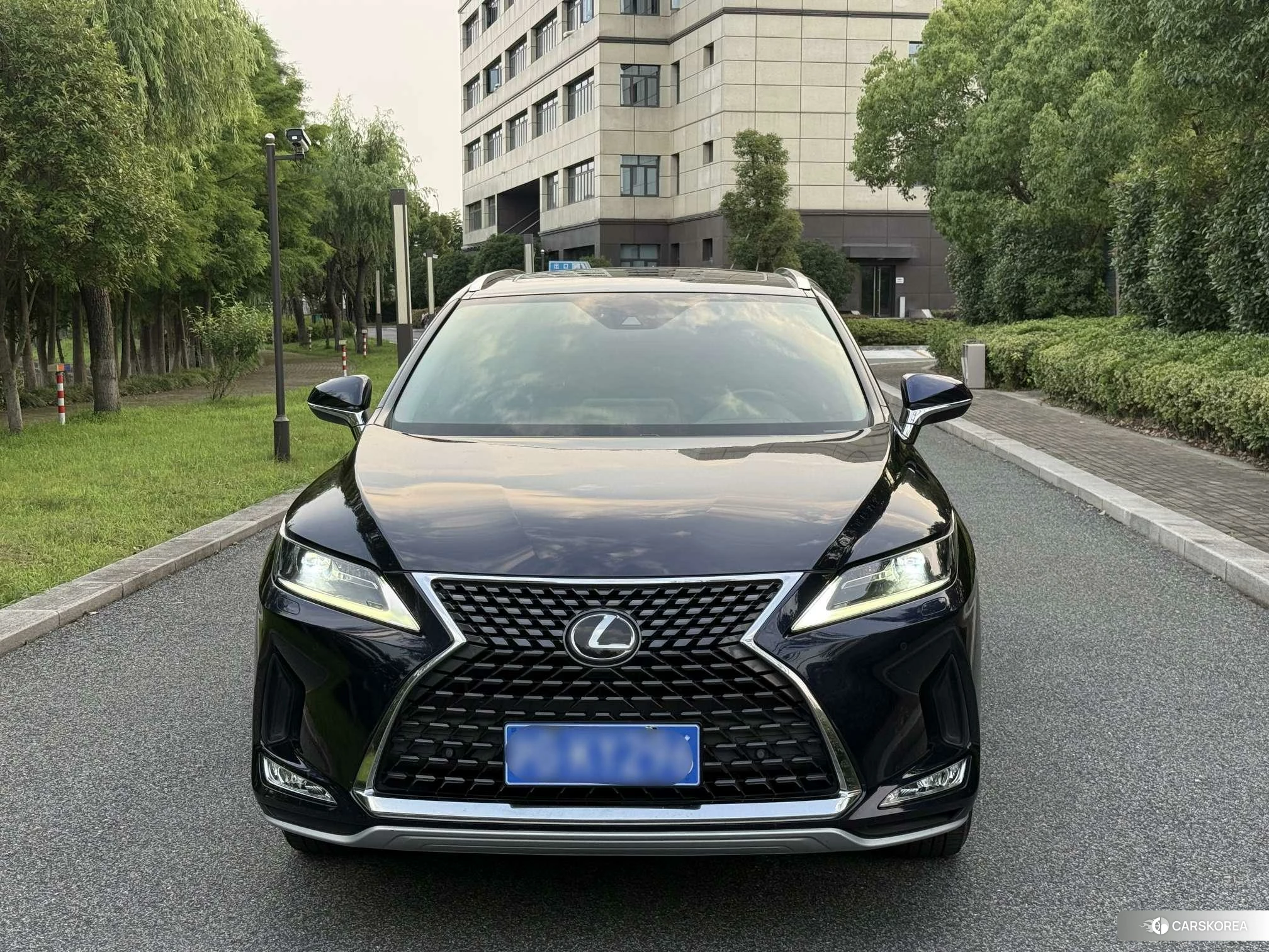 Lexus RX id 4512467 из Китая 16