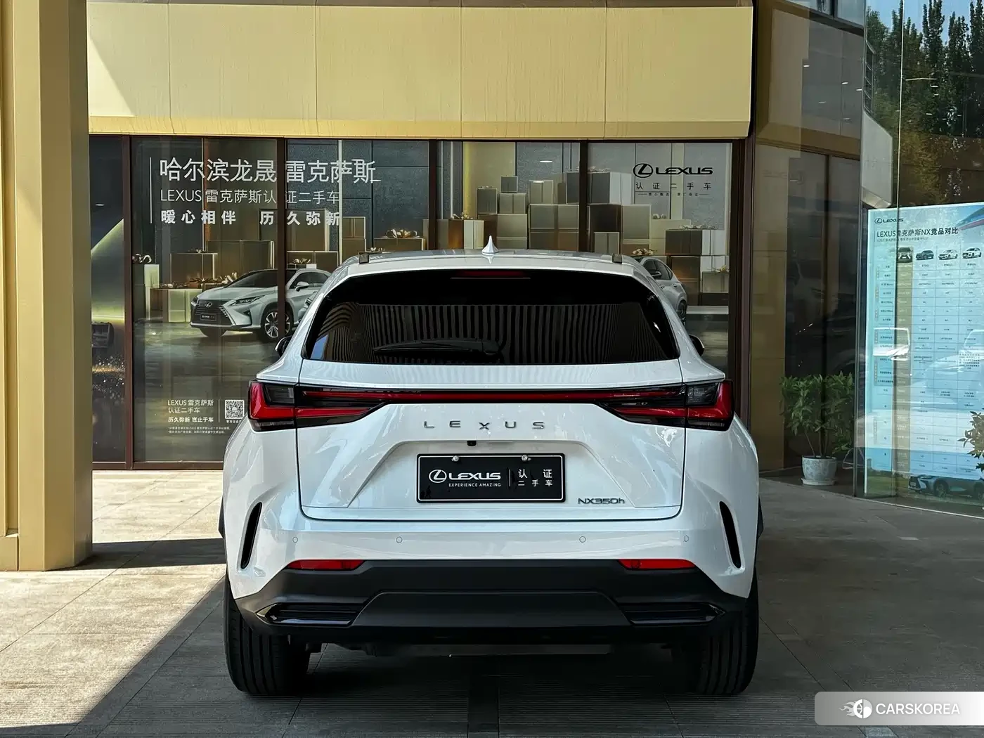 Lexus NX id 4628006 из Китая 10