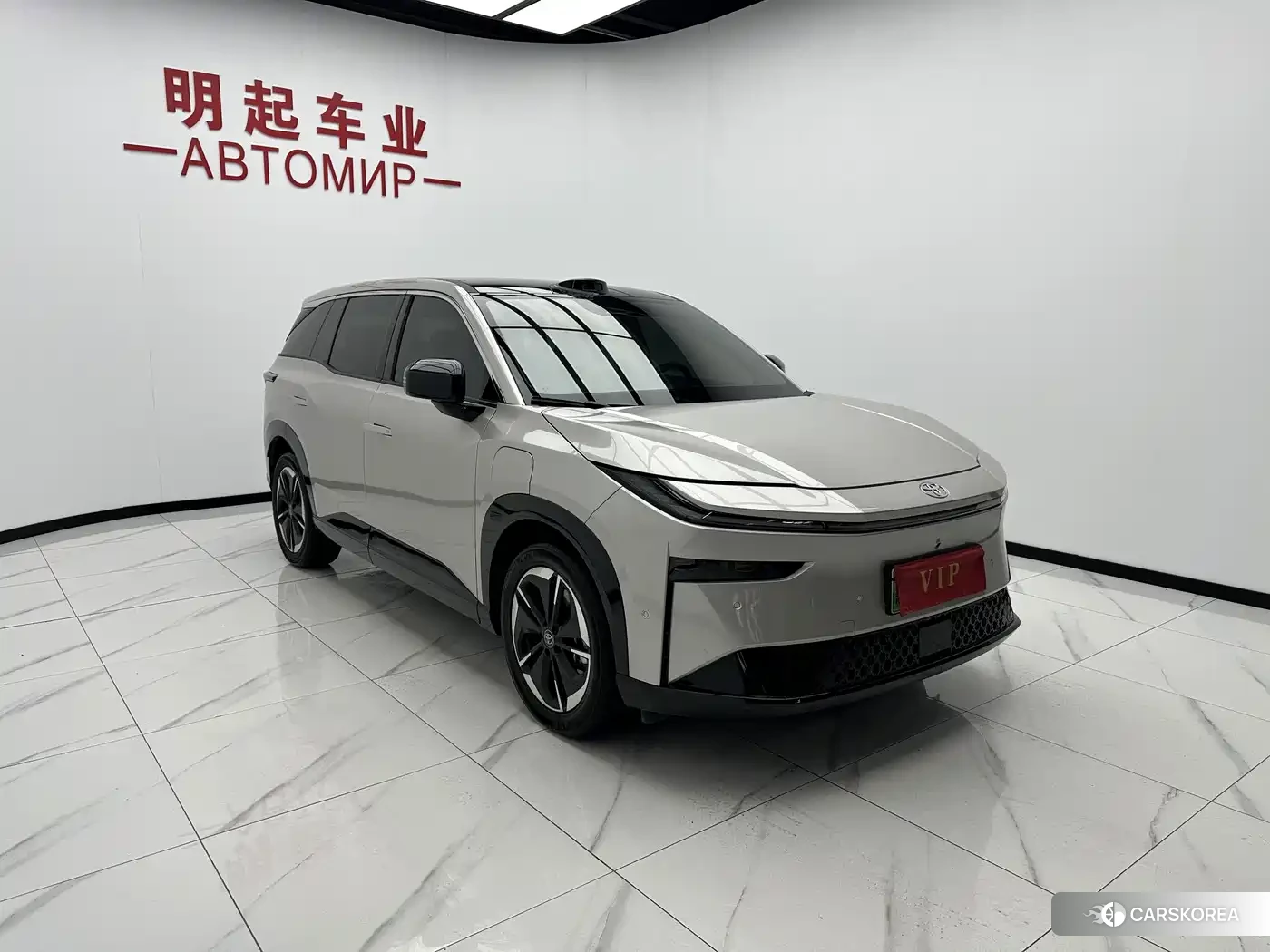 Toyota Platinum Wisdom 3X id 4600547 из Китая 18
