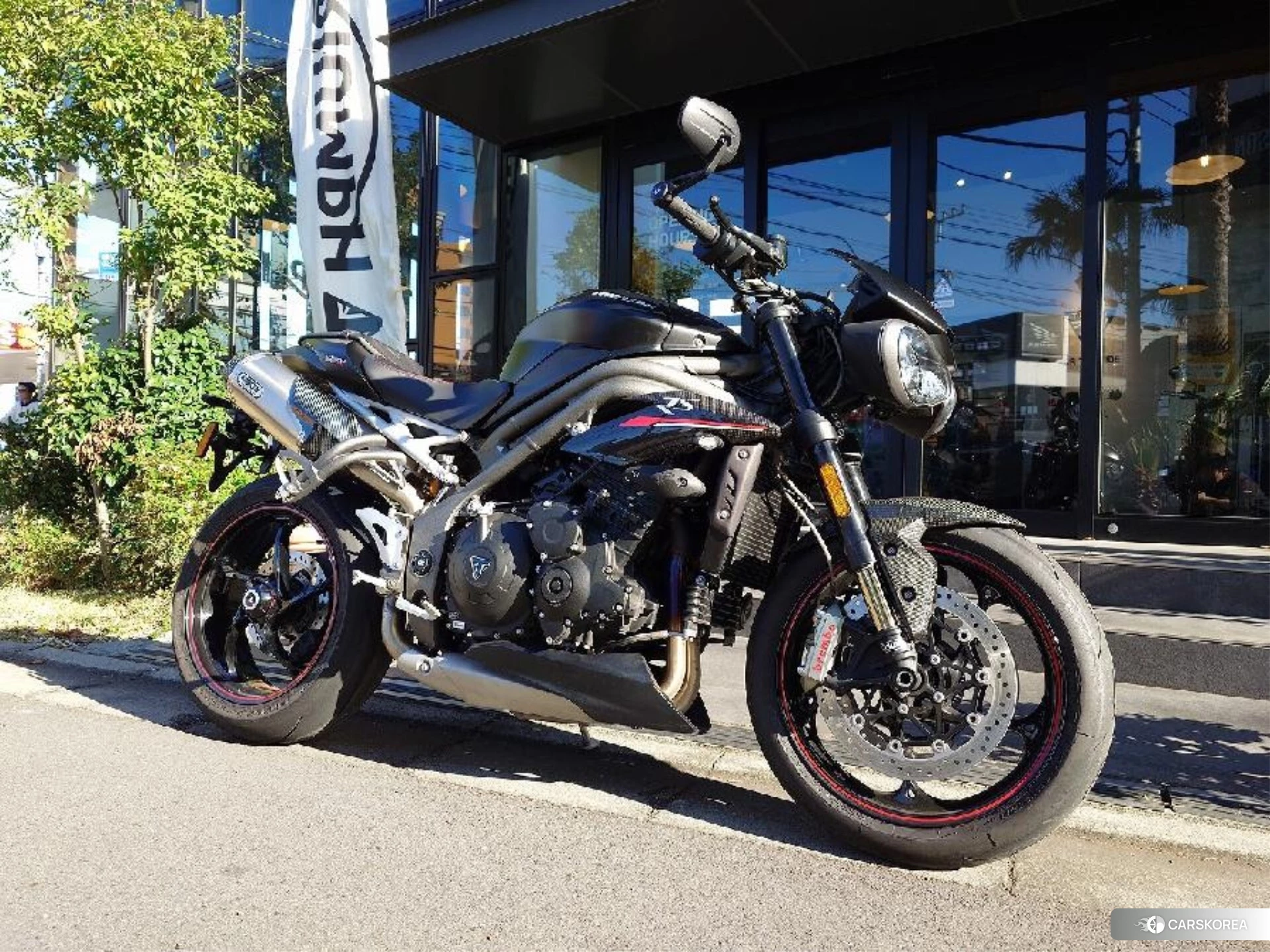 Triumph SPEED TRIPLE RS id 4373776 из Японии 14