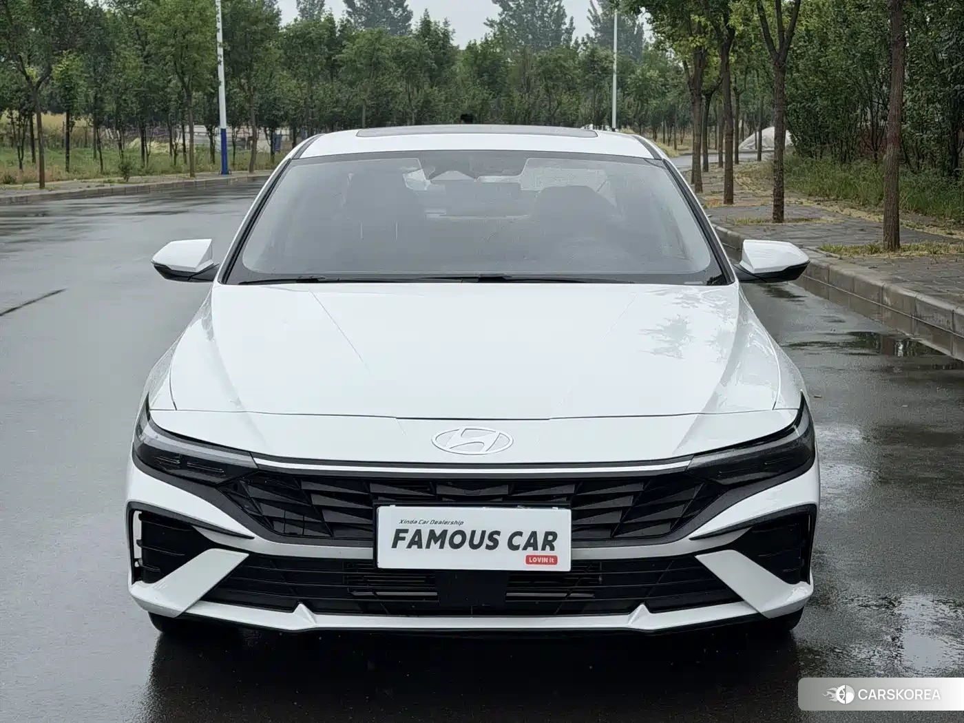 Hyundai Elantra id 4589176 из Китая 13