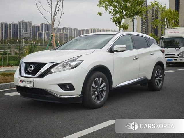 Nissan Loulan id 4290845 из Китая 19