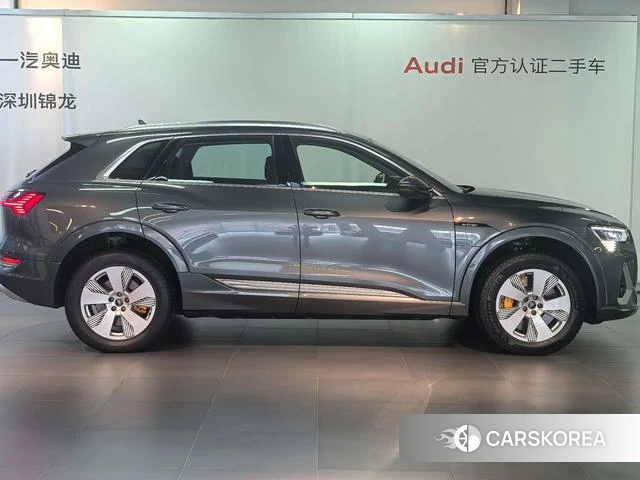Audi e-tron id 4262587 из Китая 13