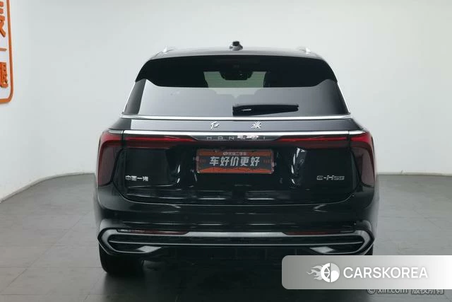 Red flag E-HS9 id 4210418 из Китая 24
