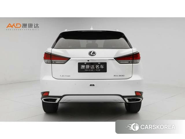 Lexus RX id 4279344 из Китая 10