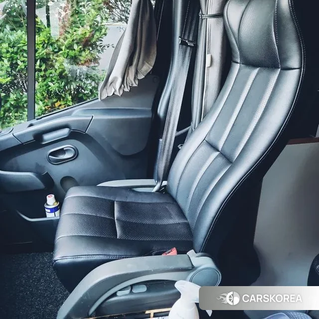 Renault Korea (Samsung) Master id 3235899 из Кореи 17