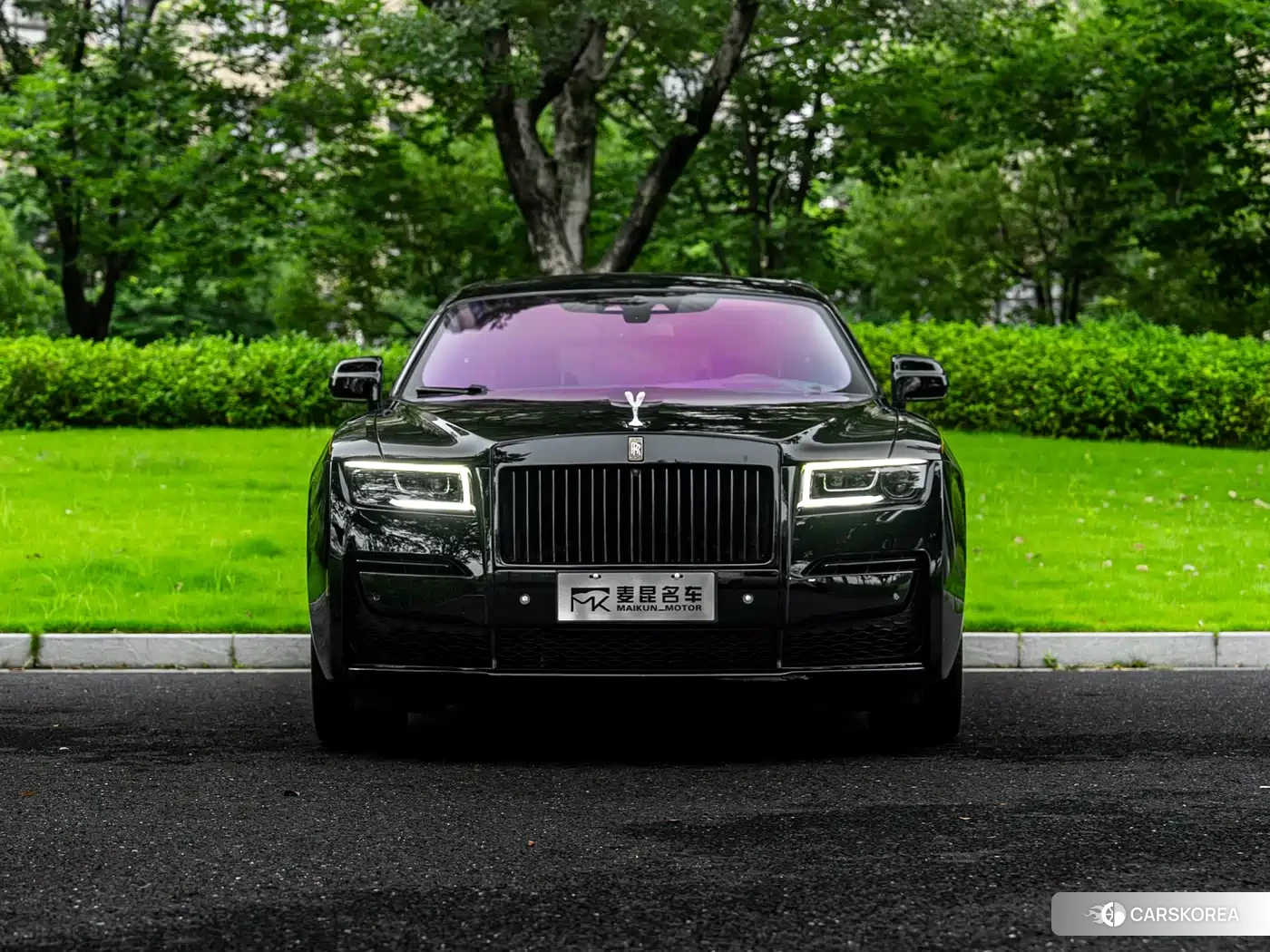 Rolls-Royce Gust id 4545647 из Китая 19