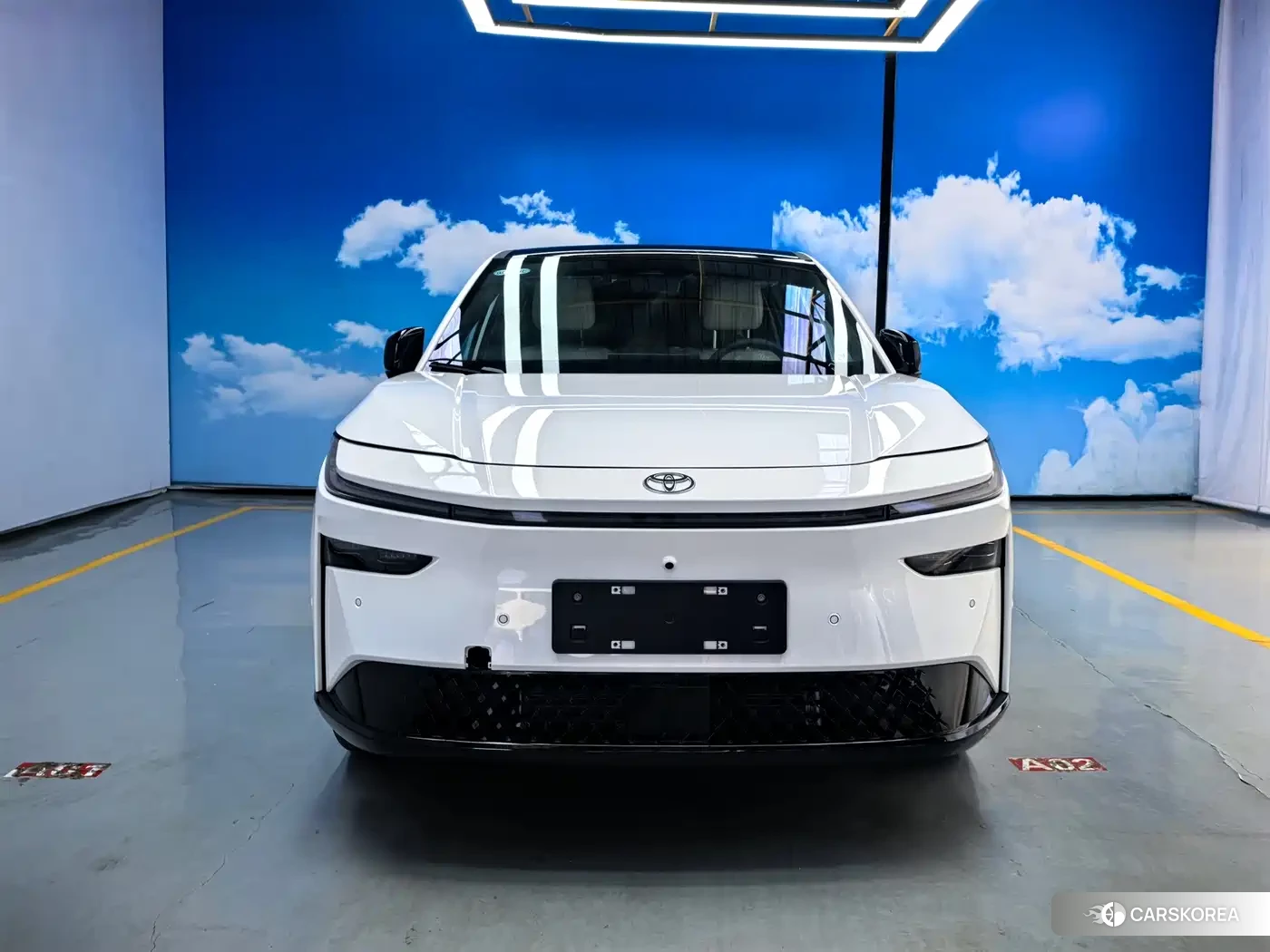Toyota Platinum Wisdom 3X id 4664637 из Китая 23