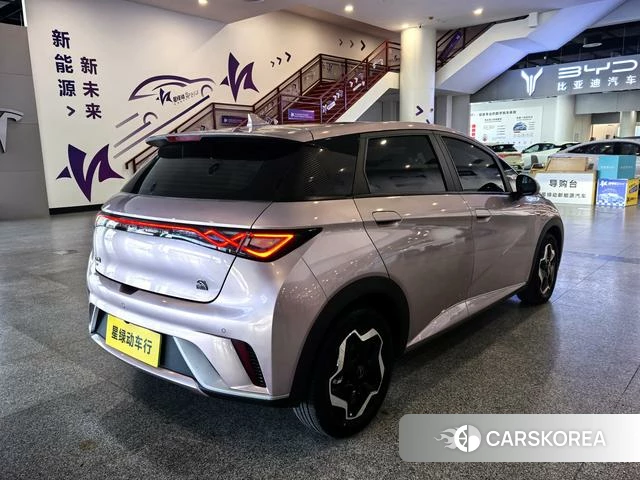 BYD dolphin id 4241378 из Китая 17