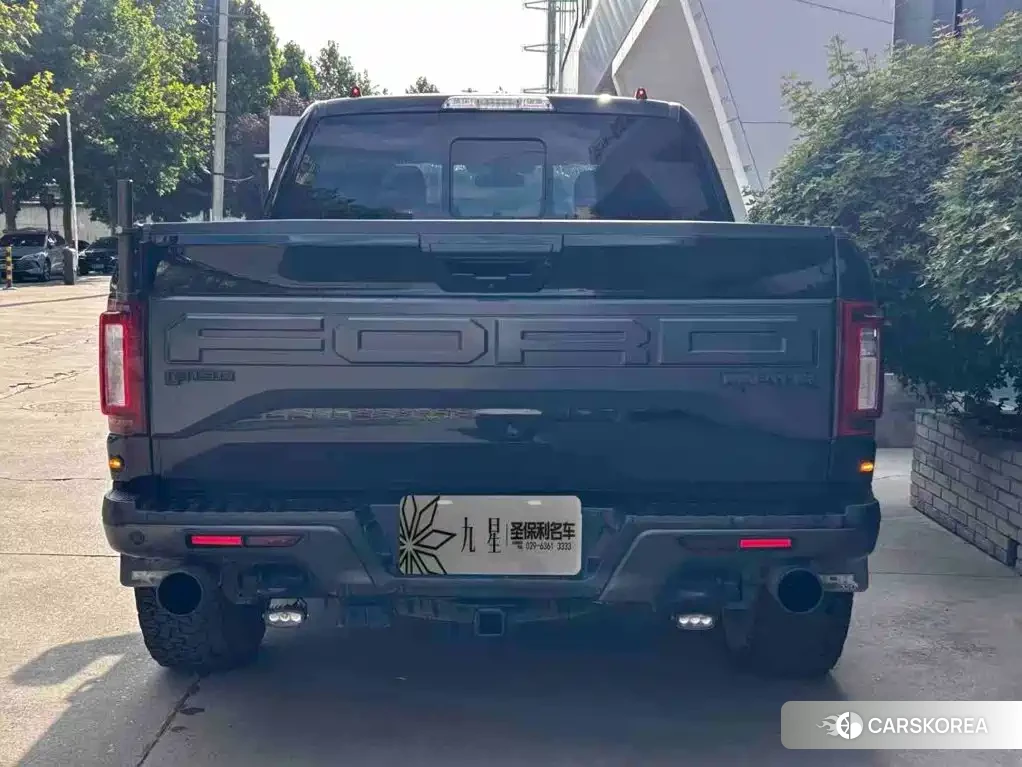 Ford F-150 id 4600493 из Китая 10